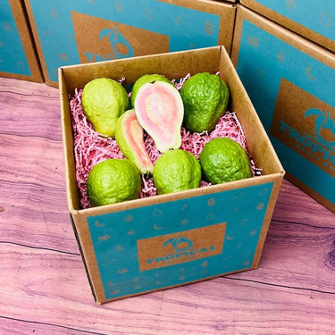 Watermelon Guava Specialty Box Tropical Fruit Box